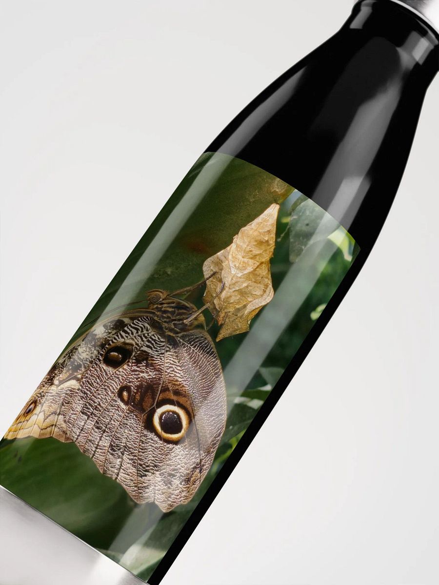Tropical Owl Butterfly Stainless Steel Water Bottle product image (5)