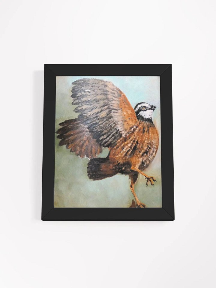 Bobwhite Quail product image (2)