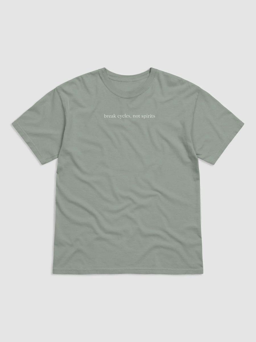 Break Cycles Not Spirits Tee product image (4)