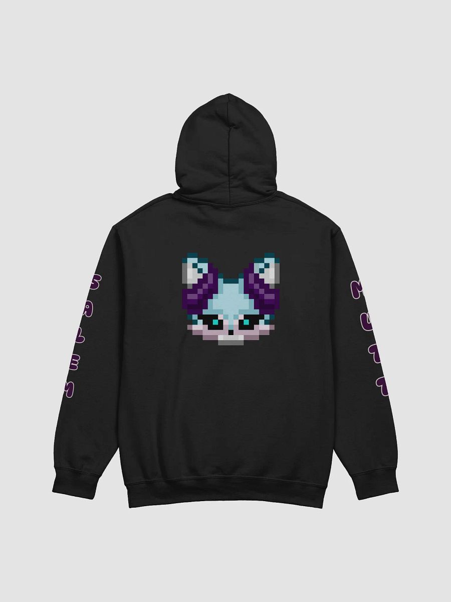Salem (New Logo) Hoodie product image (39)