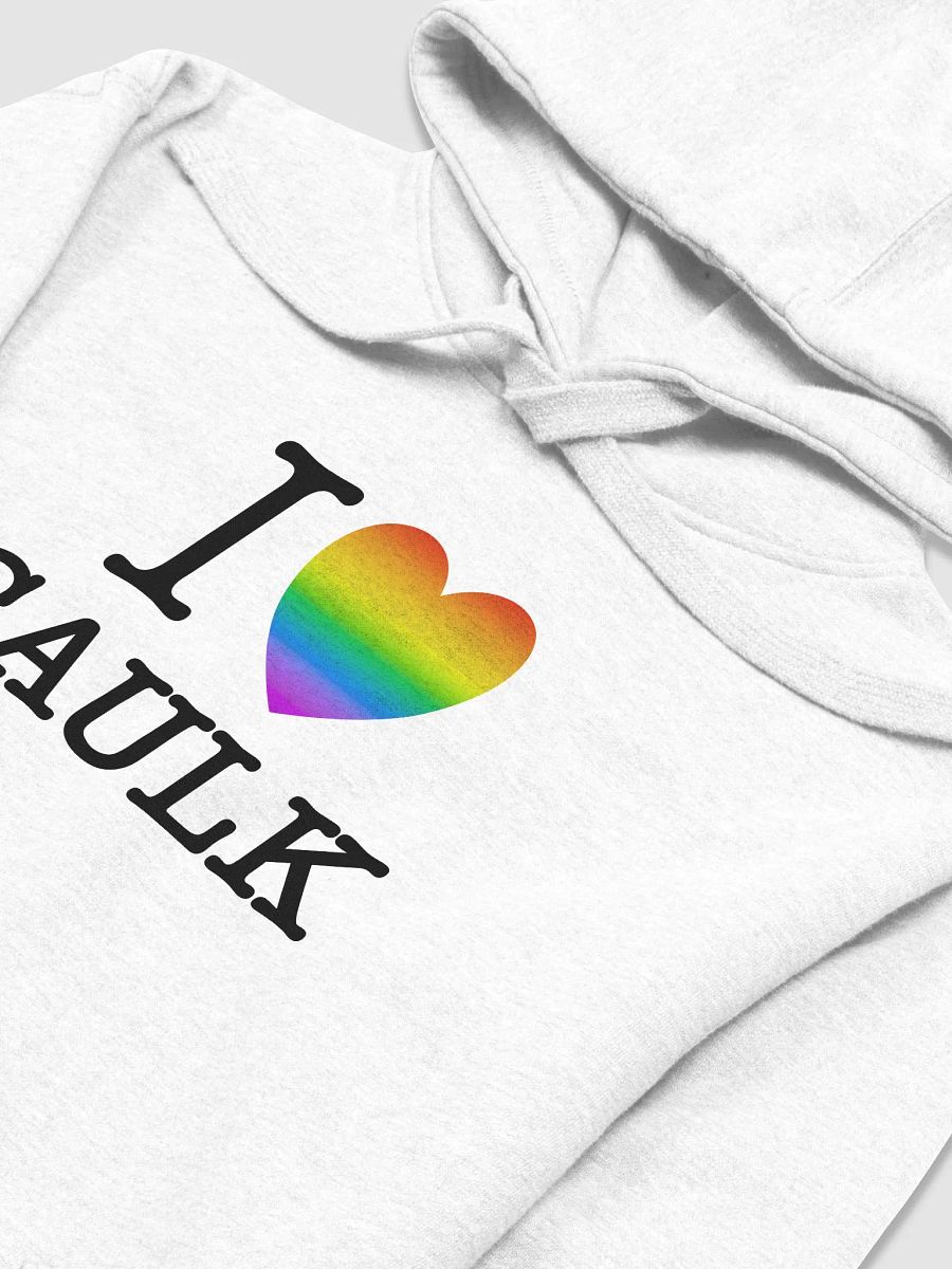 I LOVE CAULK Rainbow / Light Premium Hoodie product image (2)