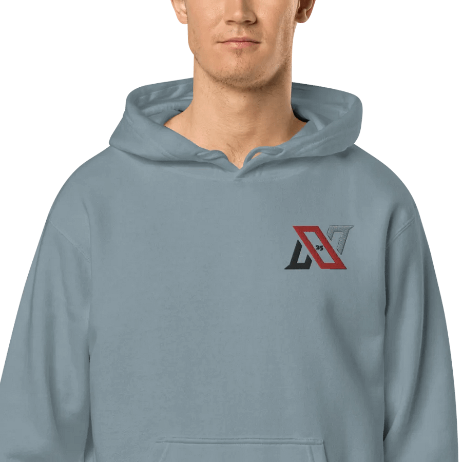 New's Embroidered, Pigment Dyed Hoodie product image (2)
