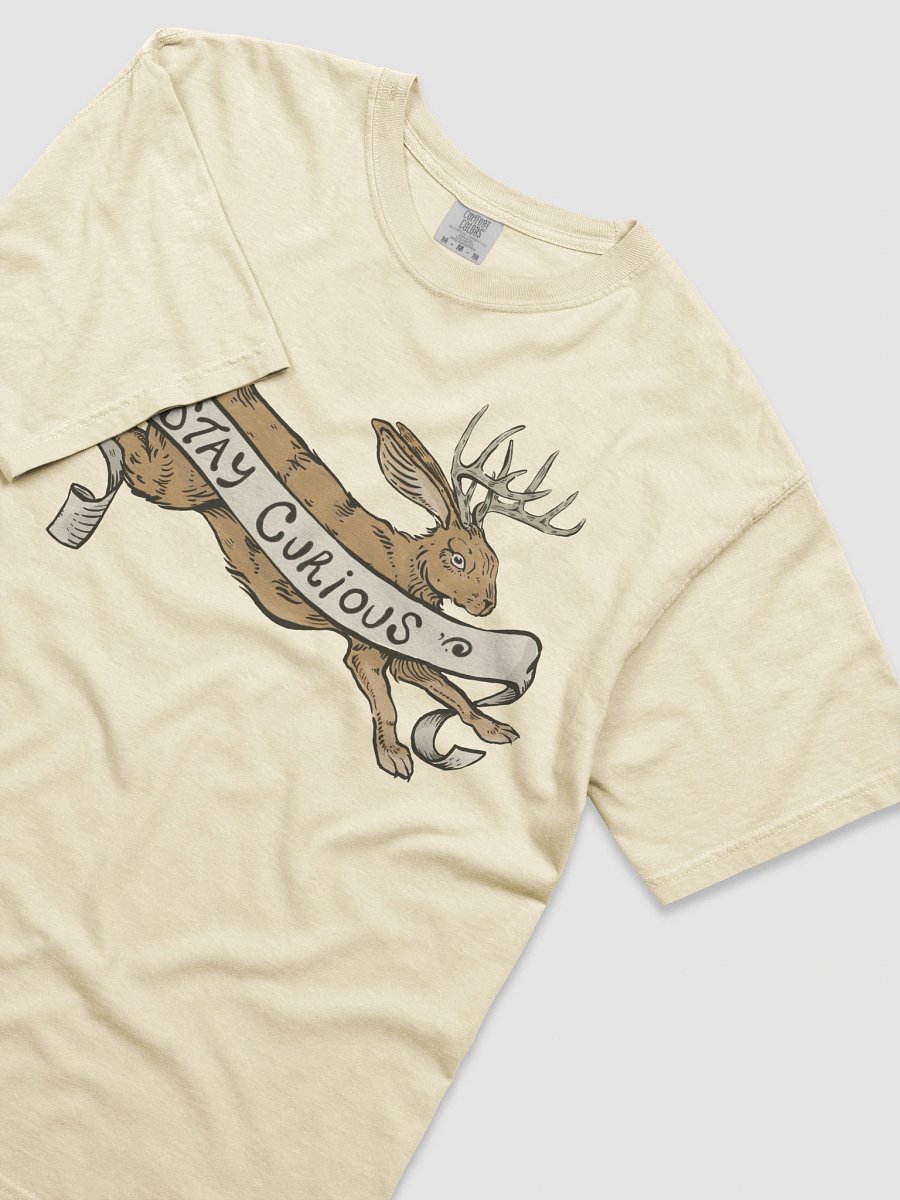 Stay Curious TEE product image (5)