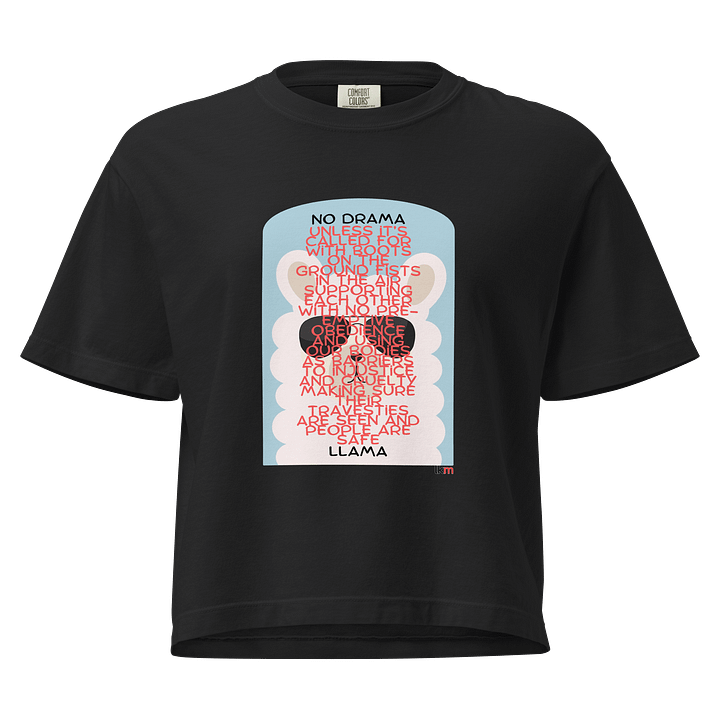 Drama Llama LKM Boxy Tee product image (1)