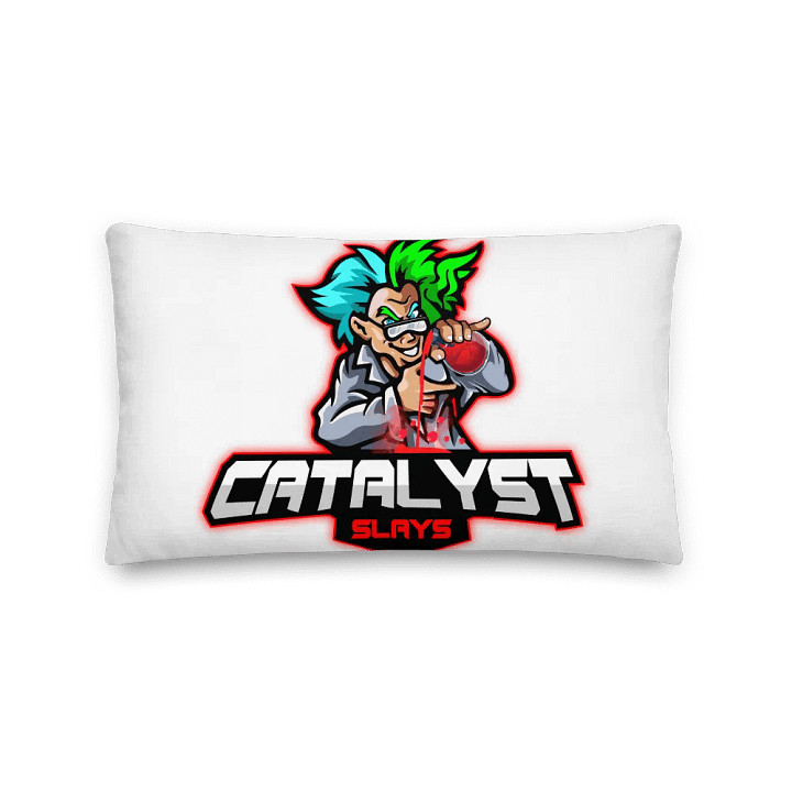 CATALYSTSLAYS PILLOW product image (2)