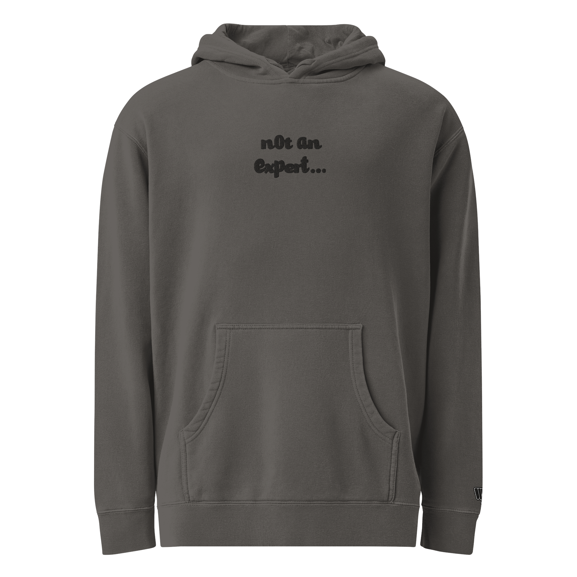 Stealth "not an expert..." Official Heavy Weight Hoodie product image (8)