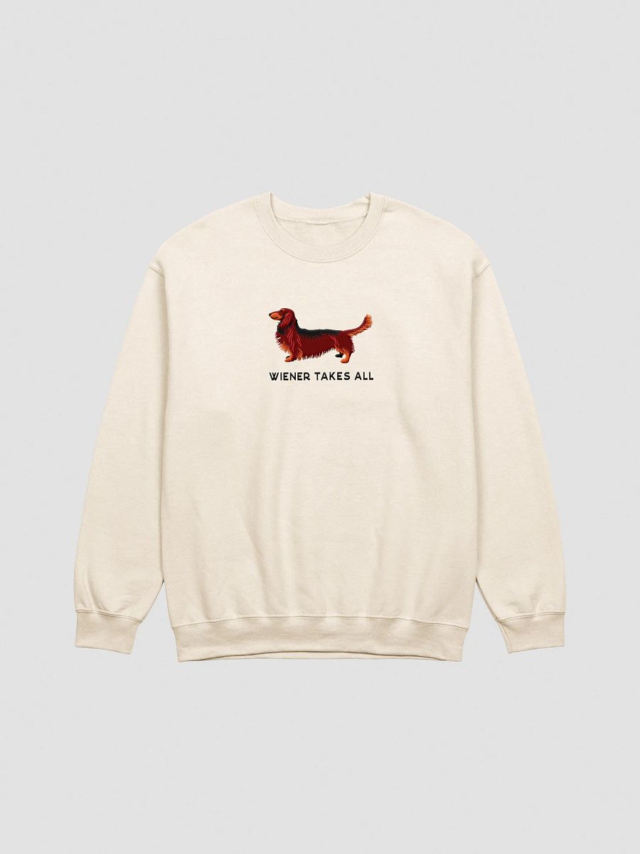 Wiener Takes All Sweatshirt (Embroidered) of a Longhaired Dachshund(Red & Tan) product image (13)