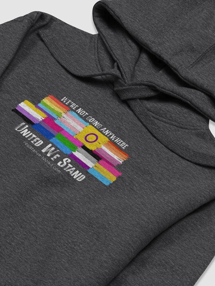 United We Stand - Hoodie product image (2)