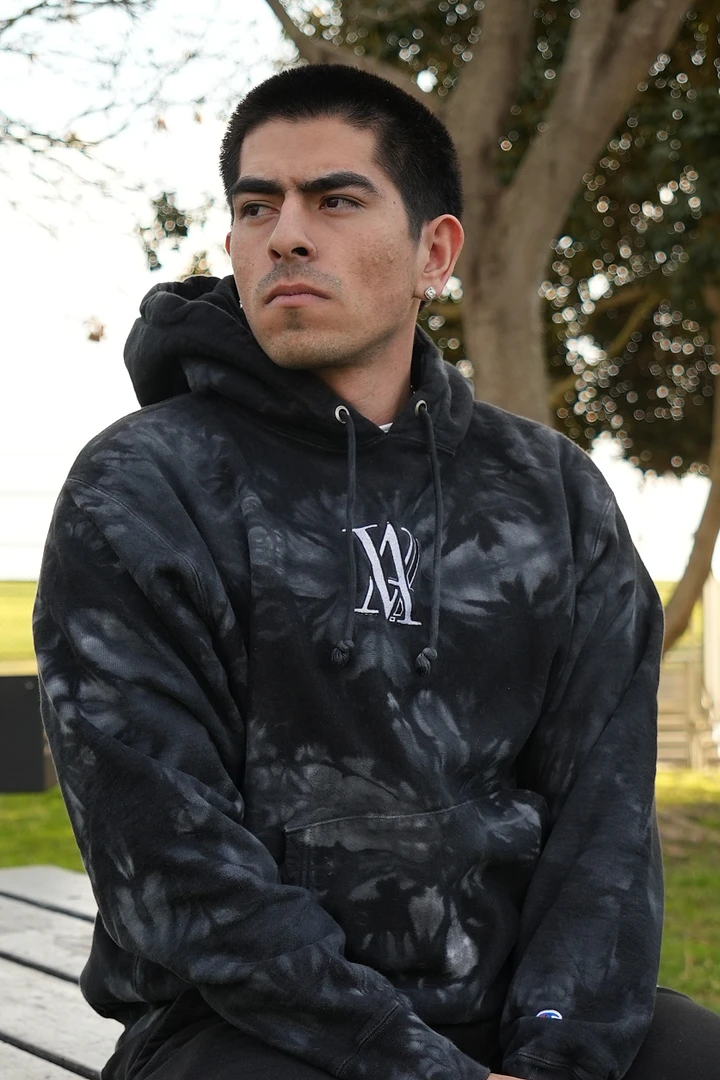 *LIMITED EDITION* AVI Logo Hoodie product image (1)