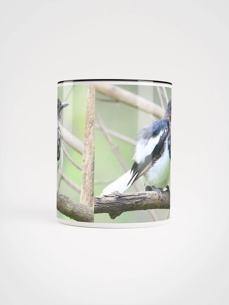 IUCAA Birds: Ceramic Mug with Color Inside product image (5)