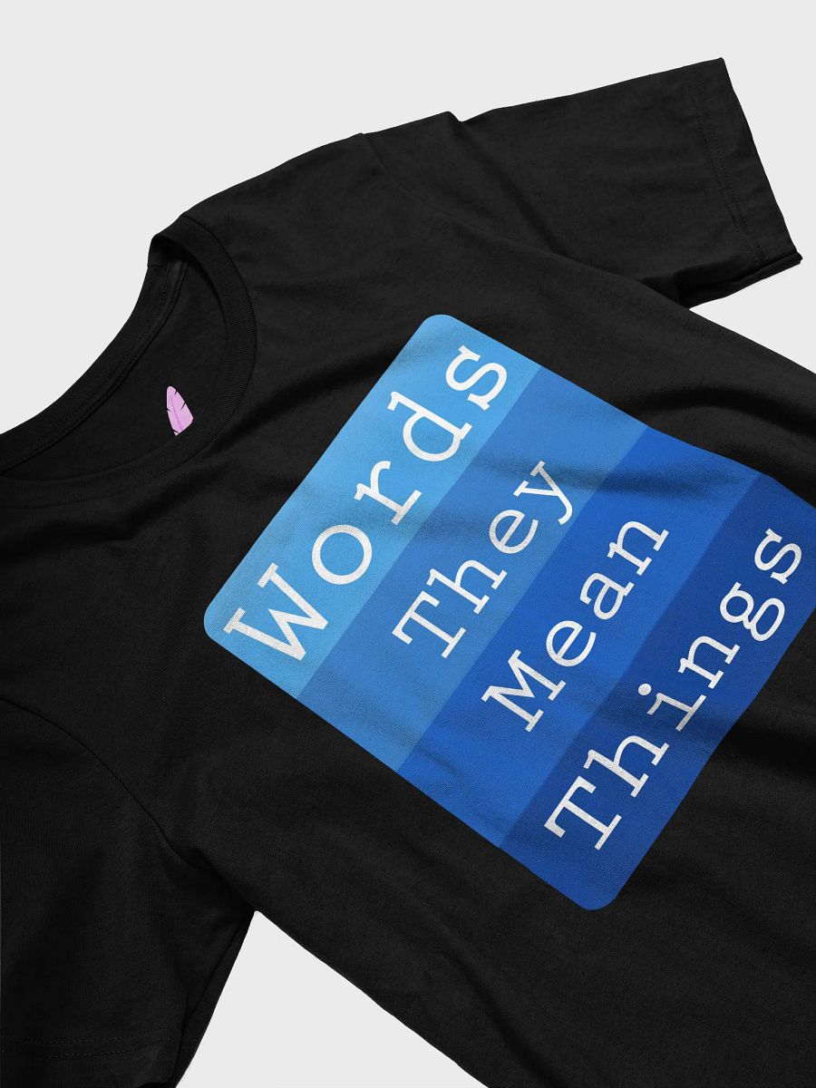 Words - They Mean Things T-Shirt product image (24)