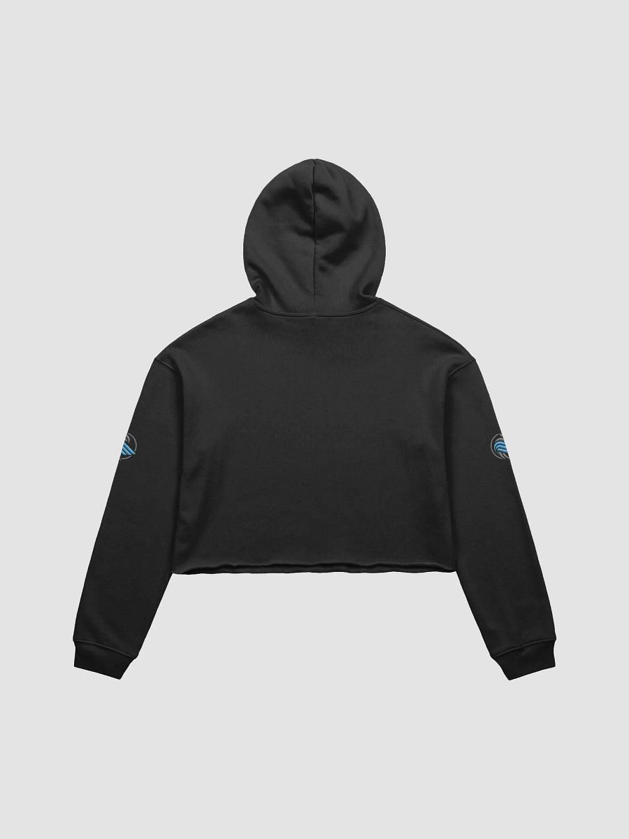 Sparrow Ranger crop hoodie product image (2)