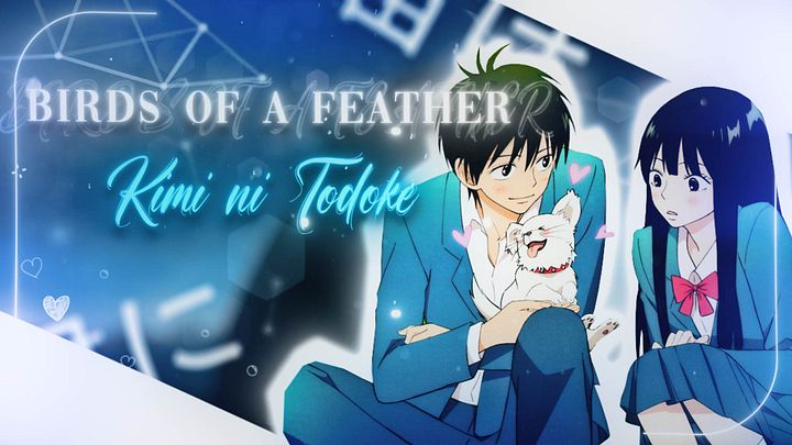 Billie Eilish - Birds of a feather edit | Kimi ni todoke product image (1)