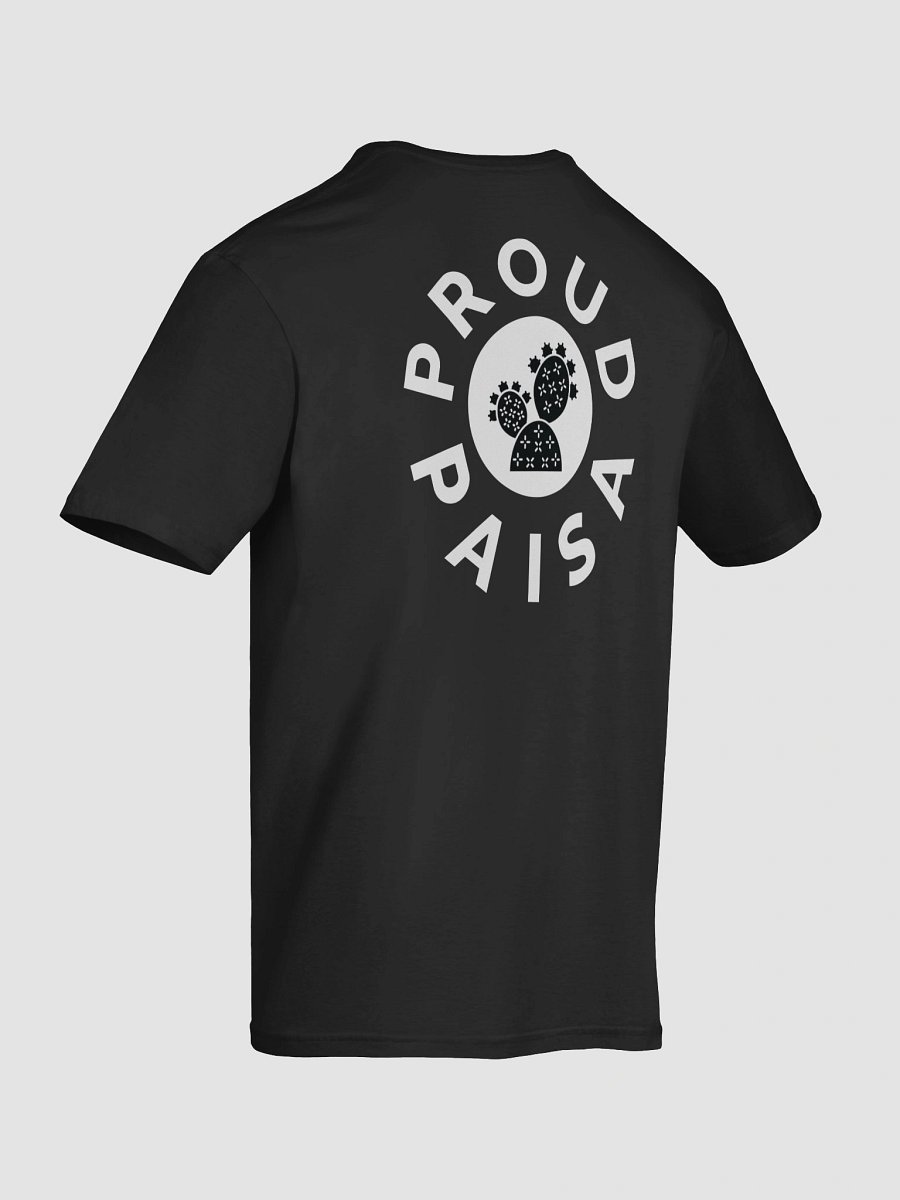Proud Paisa product image (12)