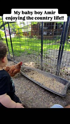 Teach em young!! partnerships and endorsements in the works 🤑🤑 #brotheradrian #brotheradrianproductions #farm #chicken
