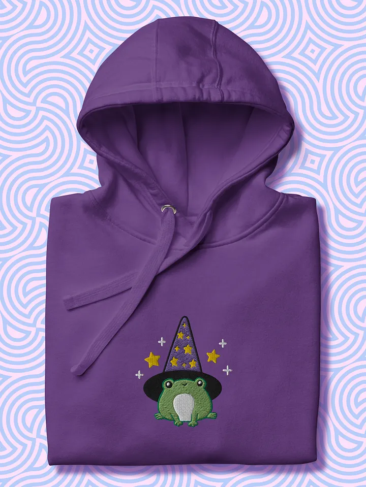 Enchanted Frog Wizard Embroidered Unisex Hoodie product image (1)