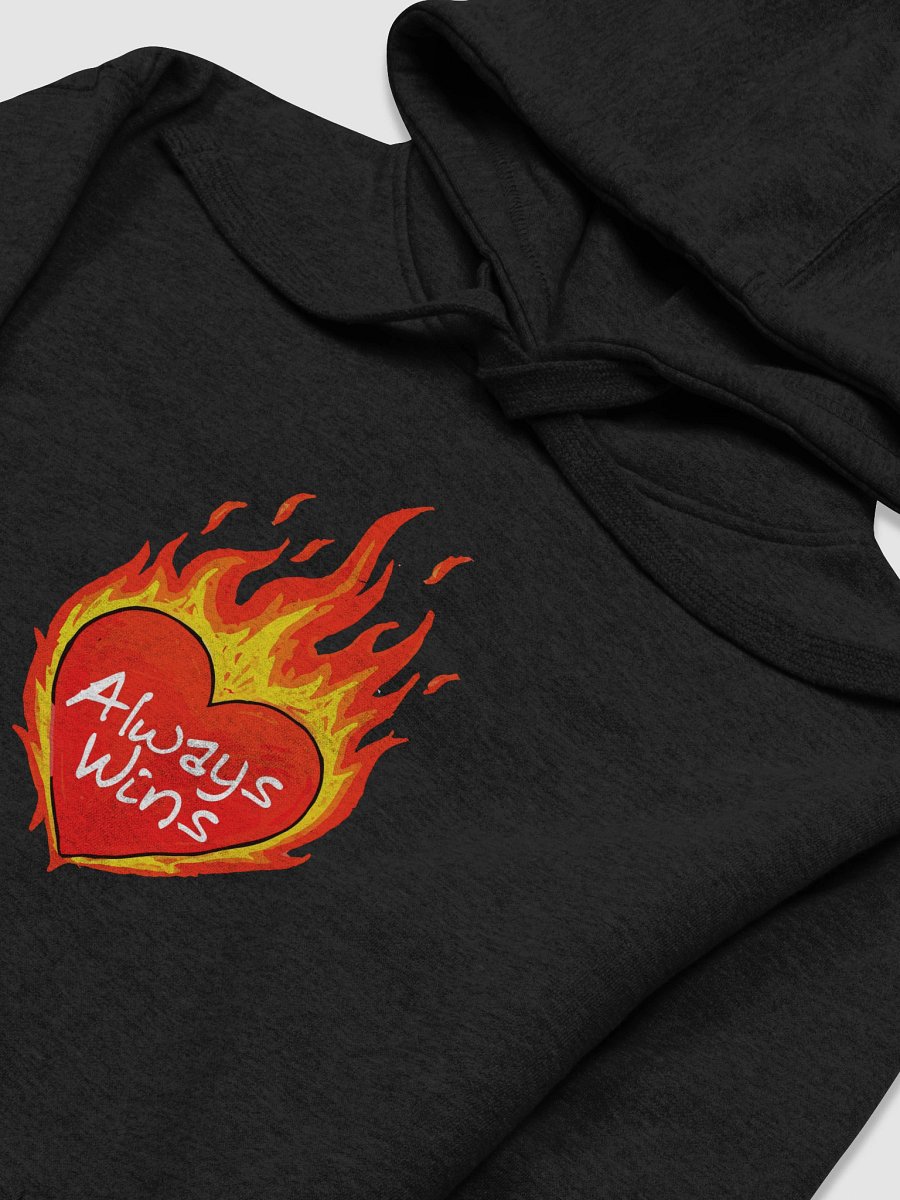 Love Always Wins Premium Hoodie product image (3)