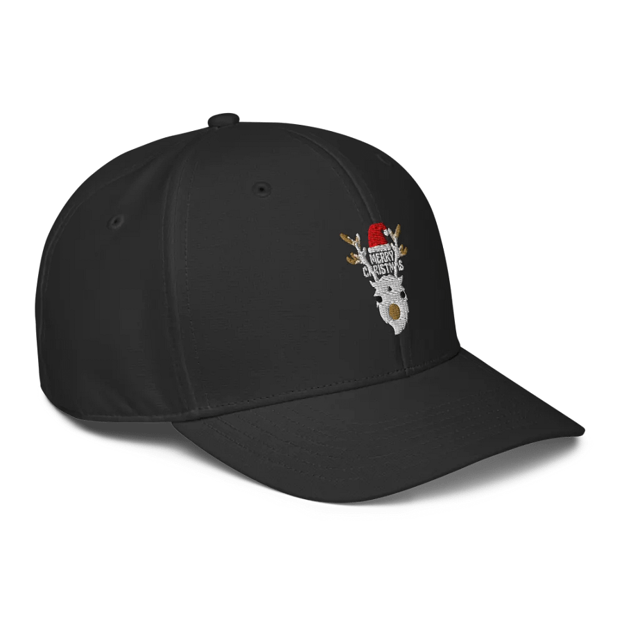 Festive Reindeer Santa Hat product image (3)