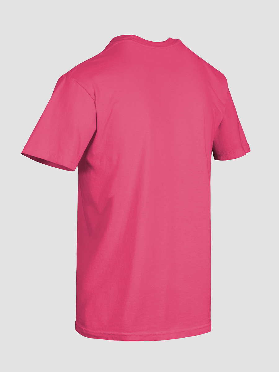 Ghosters Anonymous Sunglasses T-Shirt product image (72)