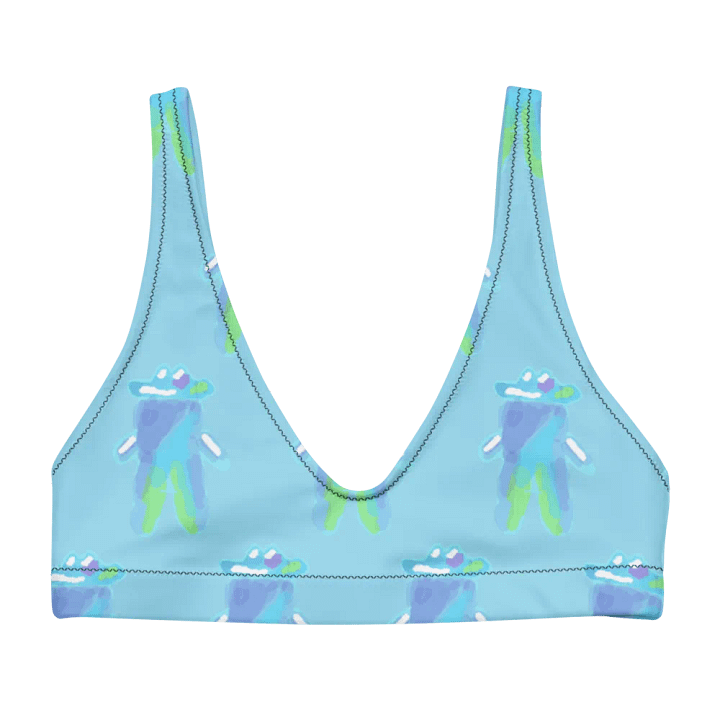 Bubble Buddy Bikini top product image (1)