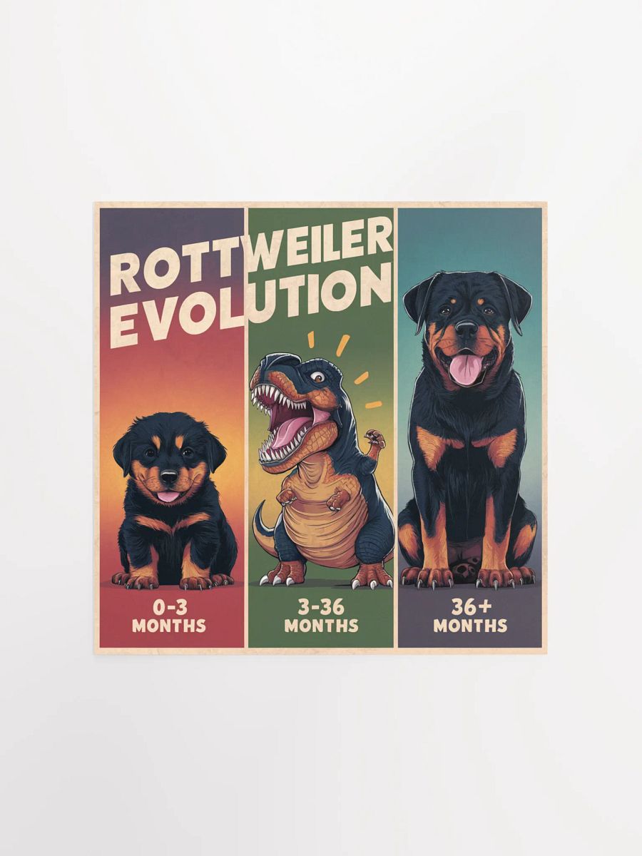 Rottweiler Evolution Poster product image (2)