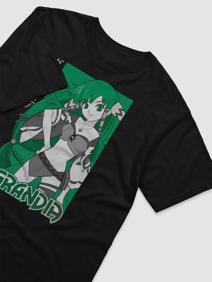 Feena (2-Tone) Heavyweight T-Shirt (Black) product image (1)