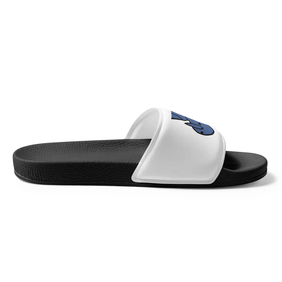 Ski Slides product image (3)