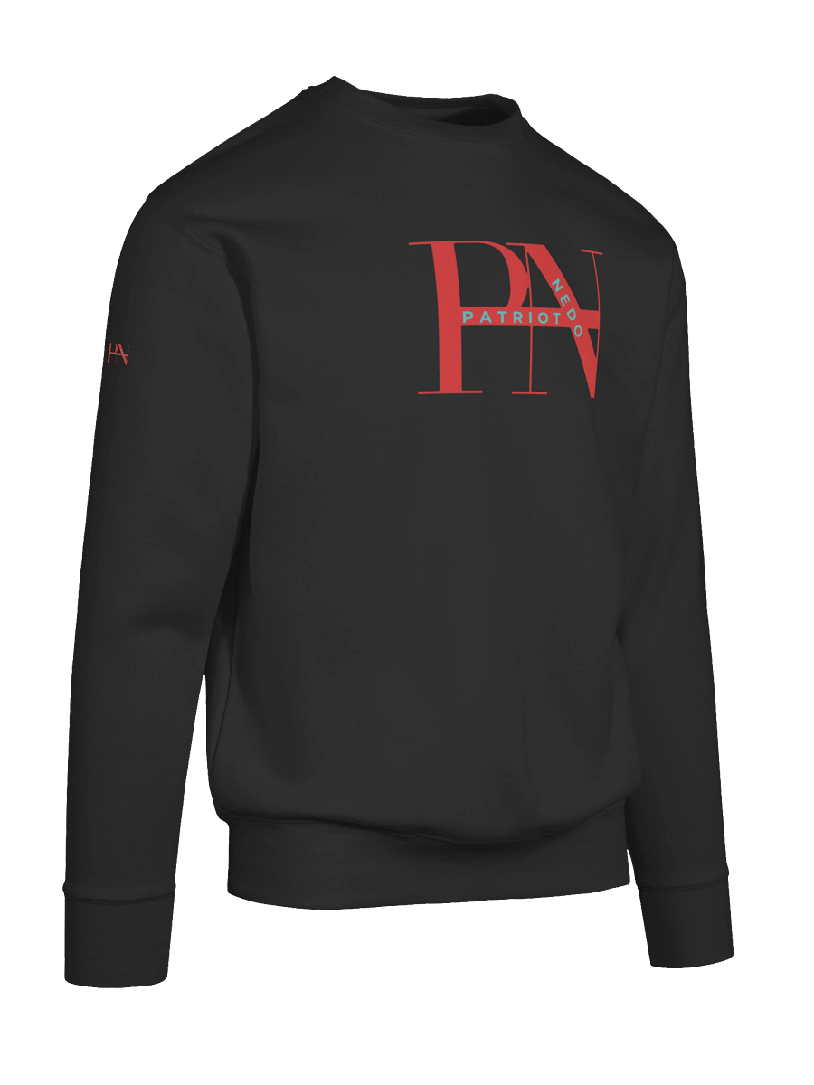 PN Patriotic Stylized Sweatshirt product image (29)