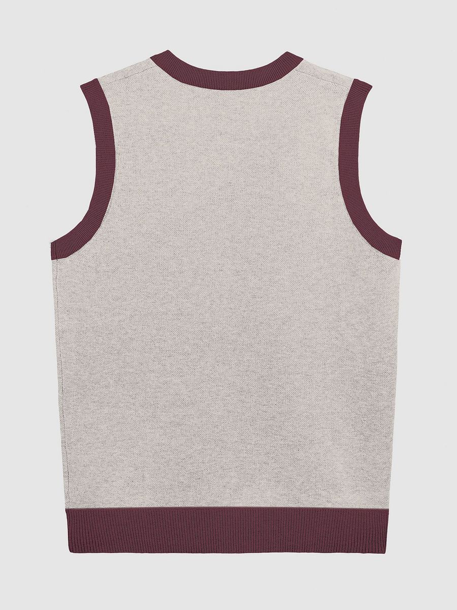 PLEASE DON'T MAKE ME TALK (tan and maroon) knitwear vest product image (7)