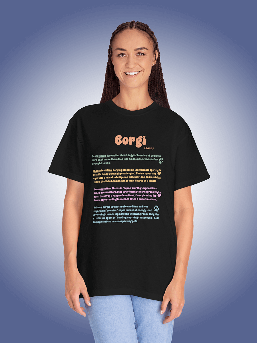 Definition of a Corgi product image (1)