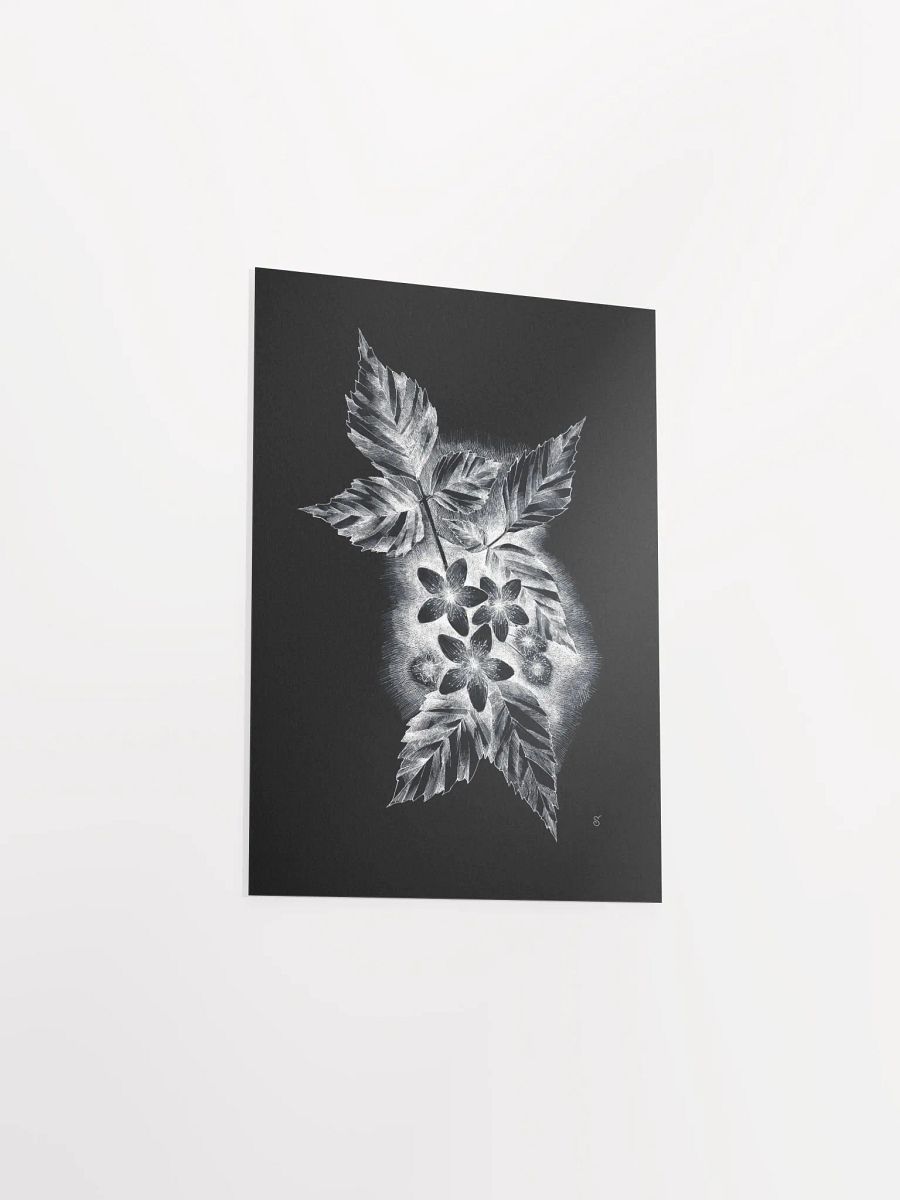 Botanical Bliss Matte Poster - Dark Jasmine product image (3)