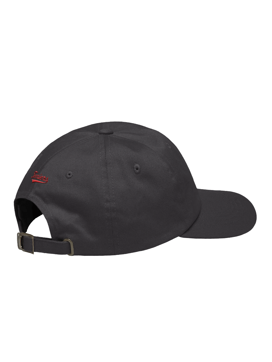 Galt Terriers Dad Hat product image (13)
