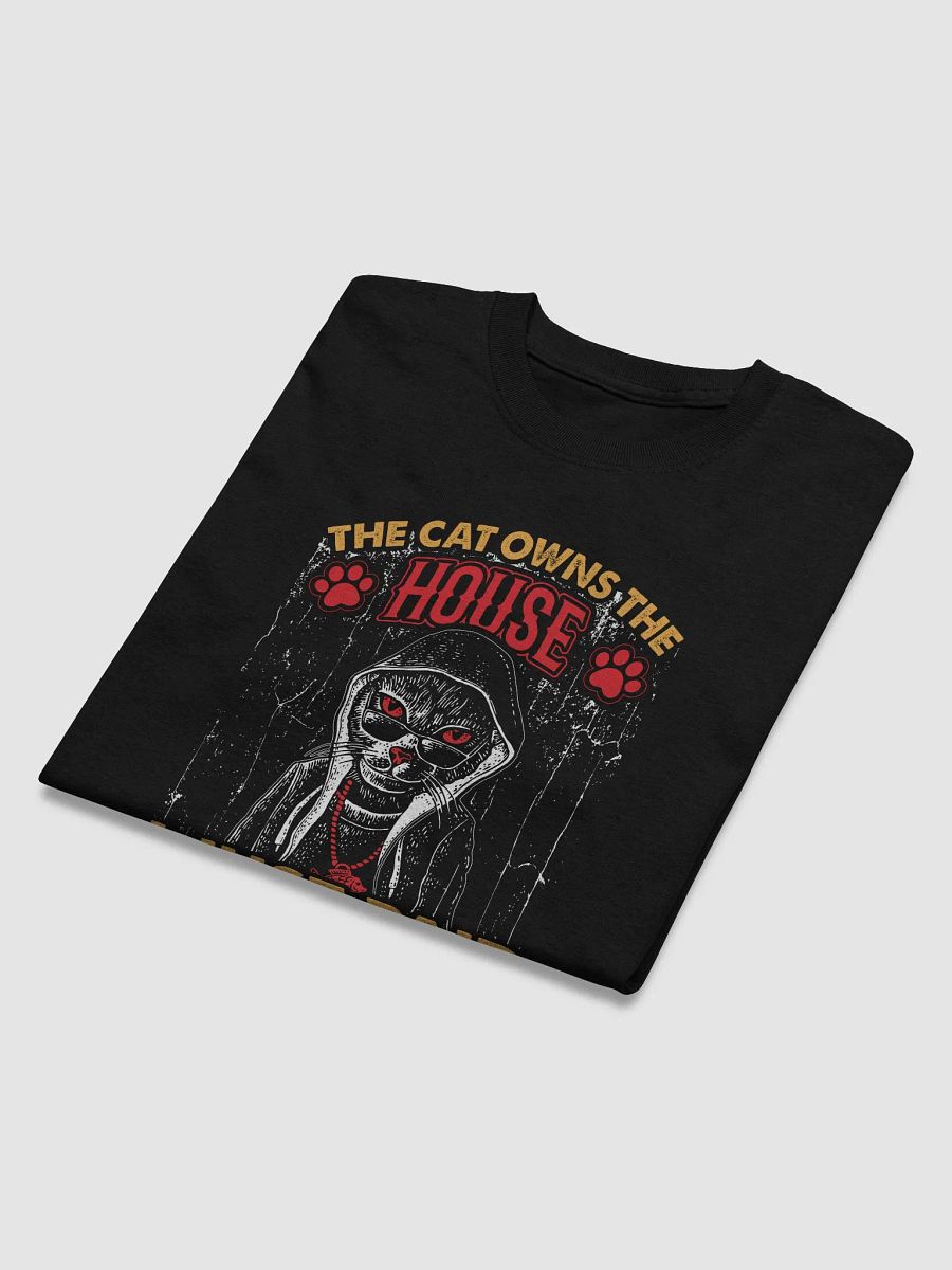 The cat owns the house product image (29)