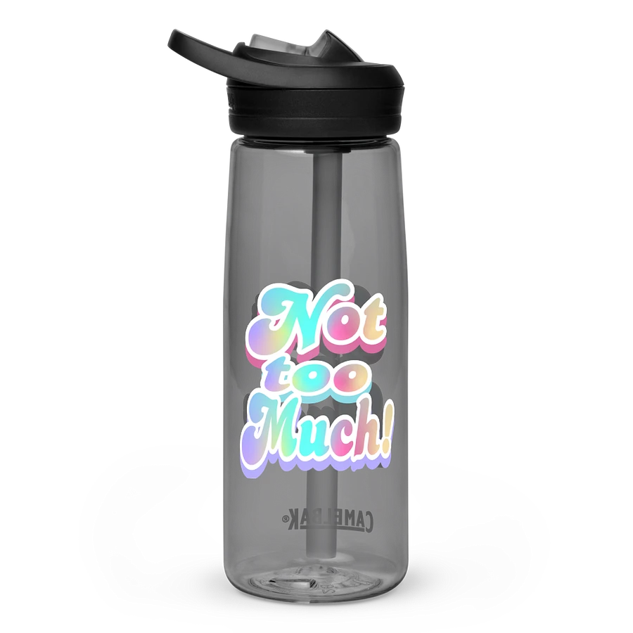 Whimsical Double 'Not Too Much' Water Bottle product image (24)