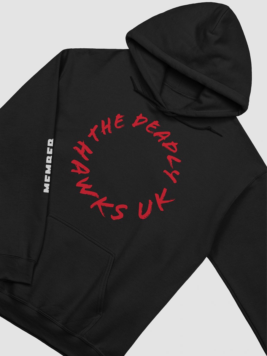 Blueluna25 hoodie product image (31)