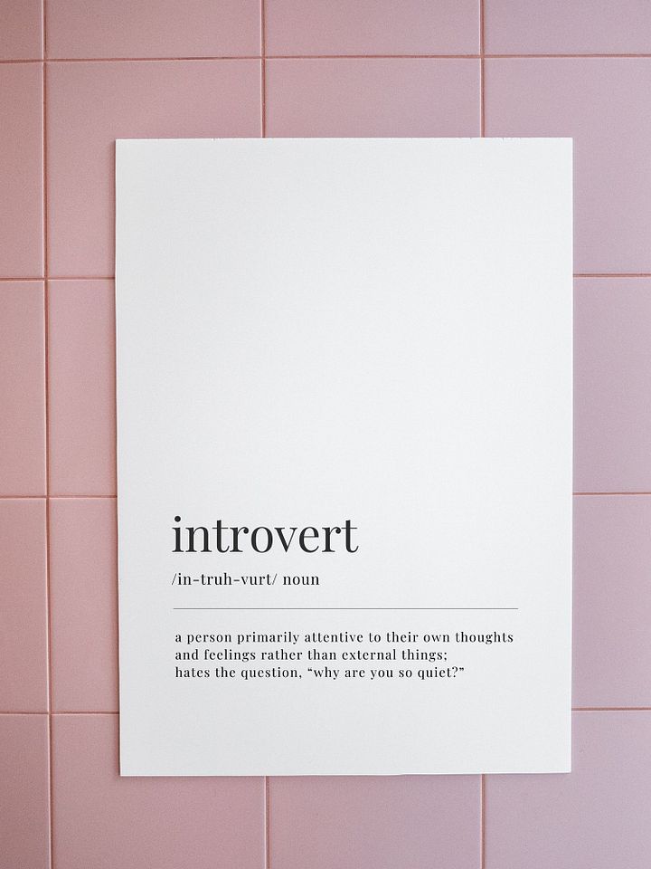 Introvert Definition Poster Print product image (1)
