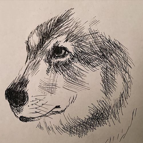 A calm down doodle from last night. Sometimes you need to scribble, it’s good for the brain. #inkdrawing #sketch #art