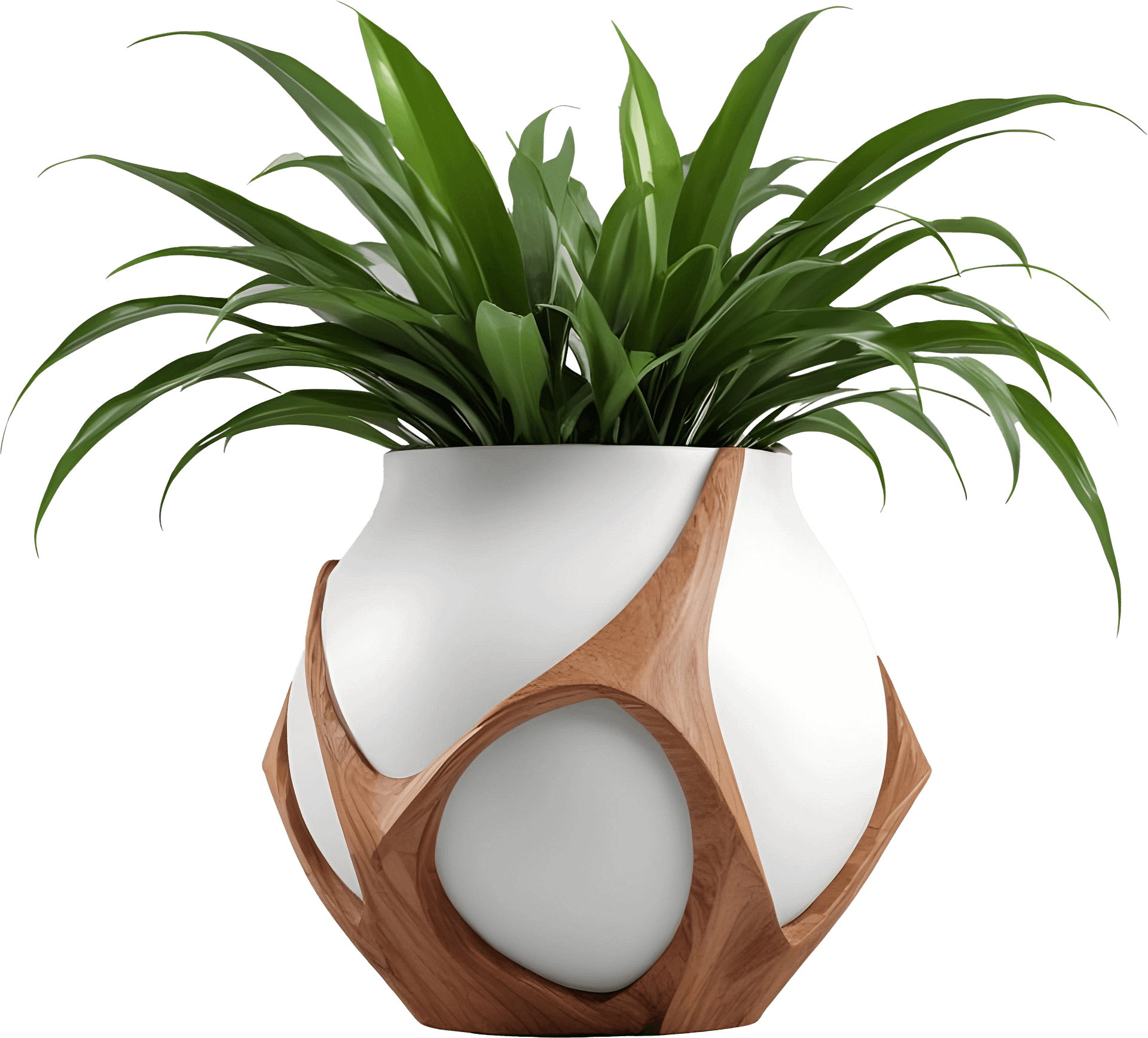 Wooden Embrace collection – Pot with Plant PNG product image (1)