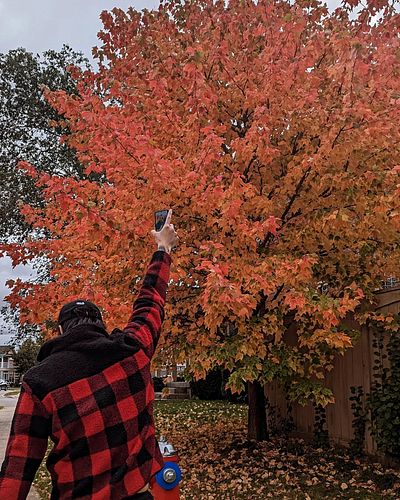 Taking a walk, seeing the nice fall view, while ofc hunting 😁
.
.
.
.
.
.
.
#mhnow #monsterhunter #monsterhunternow #monsterh...