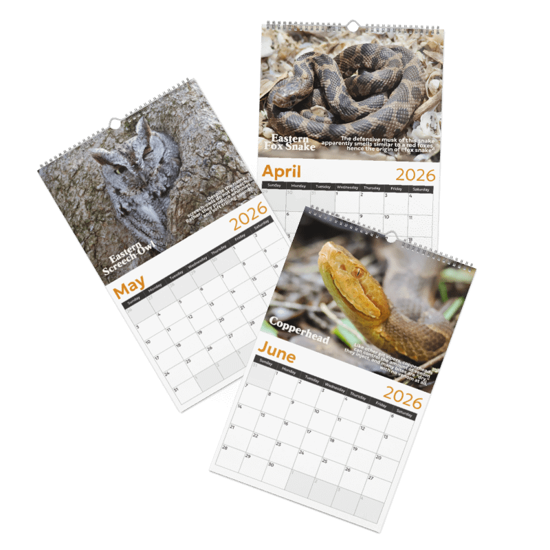 2026 Wall Calendar product image (3)