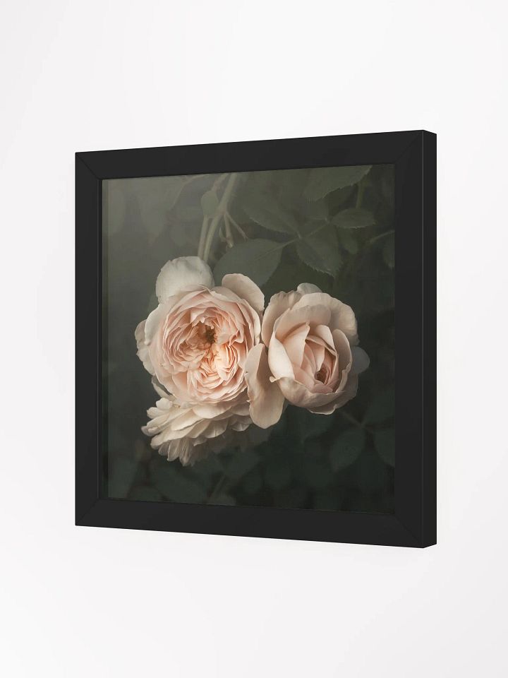 Blush of Summer product image (2)