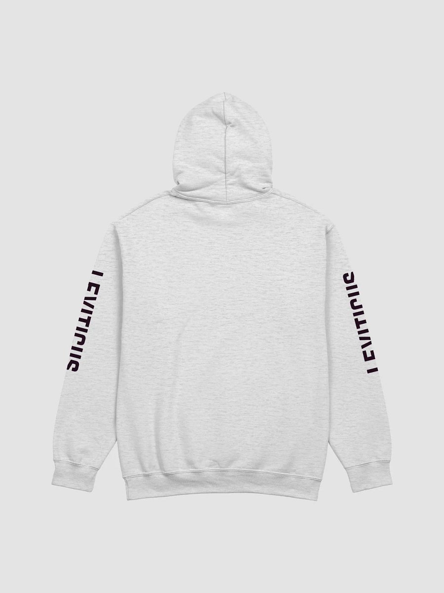 Scripture Couture: Leviticus Hoodie (Light Pallet Series) product image (4)