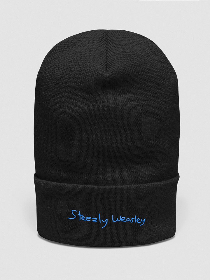 Official Steez Beanie product image (1)
