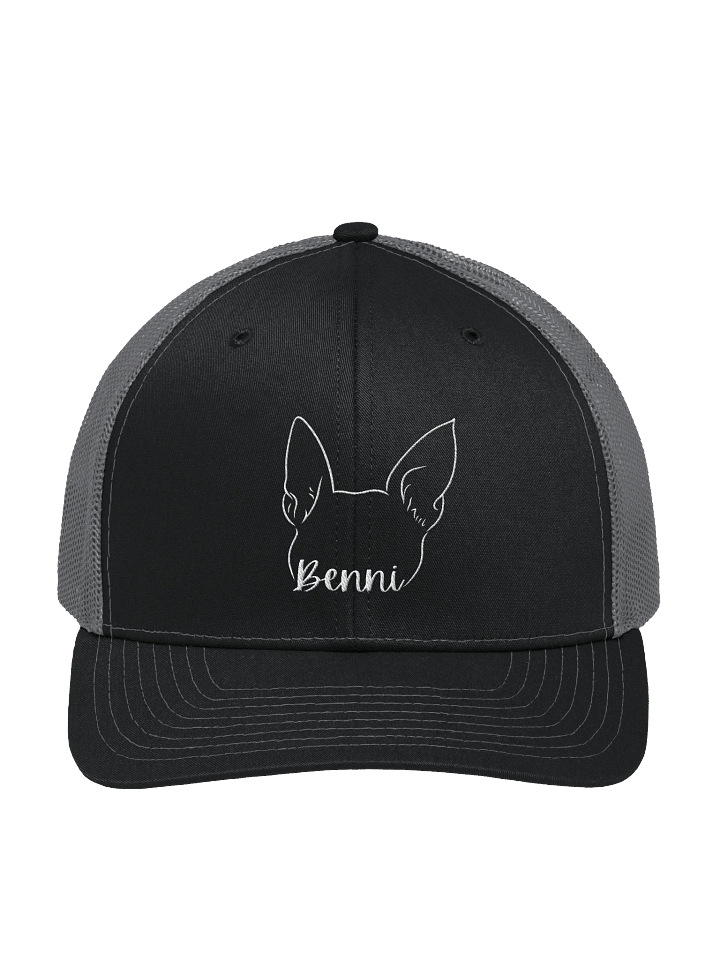Benni Trucker product image (1)