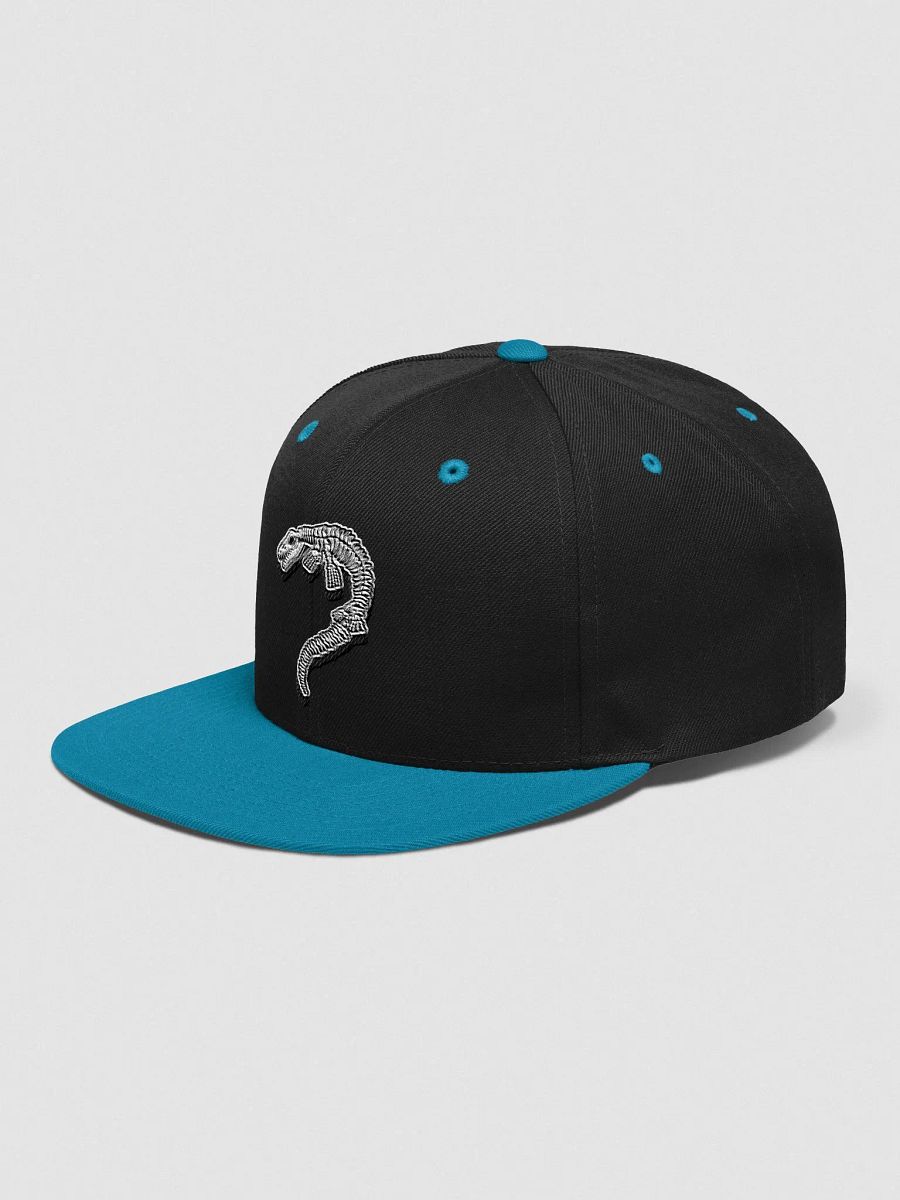 Custom Mosasaur Snapback Cap product image (4)