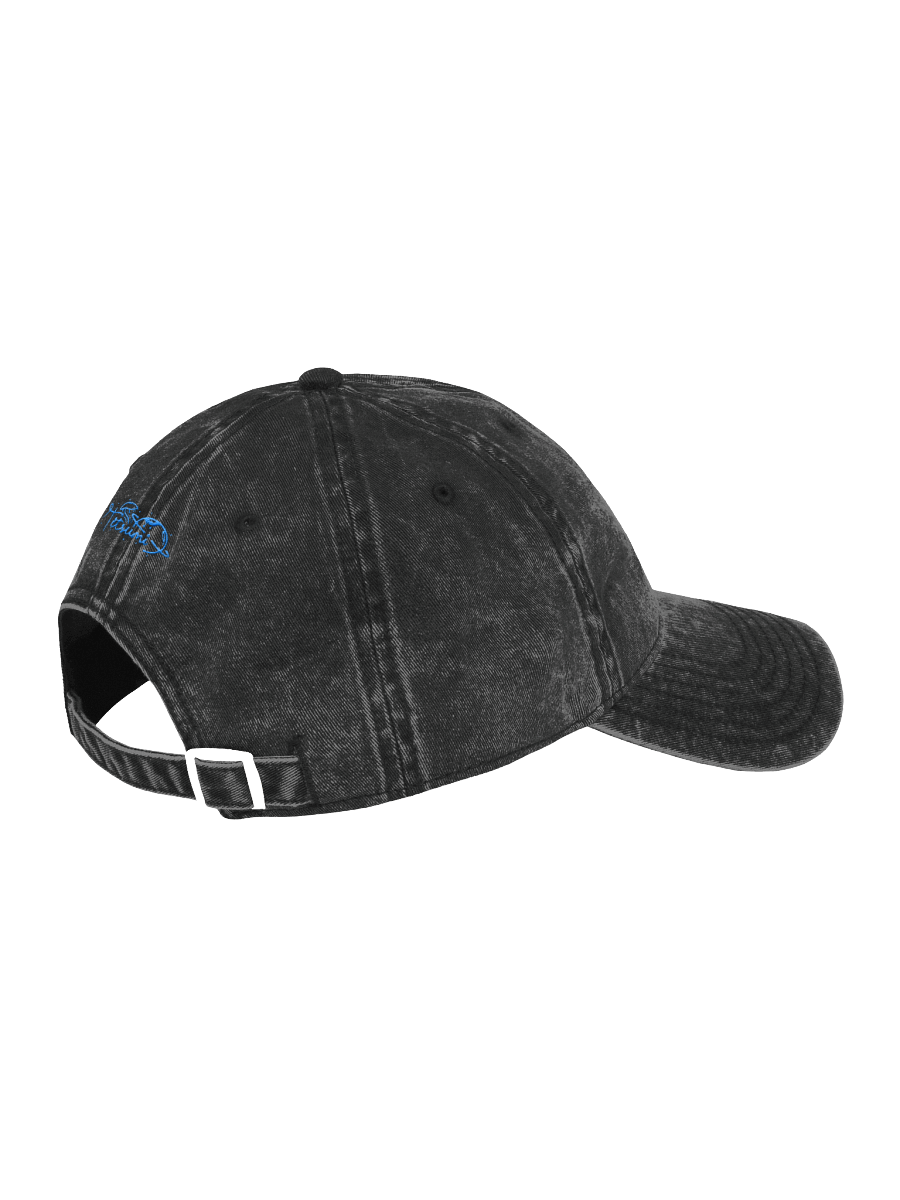 Vintage Vibes: Otto Retro Dad Hat product image (10)