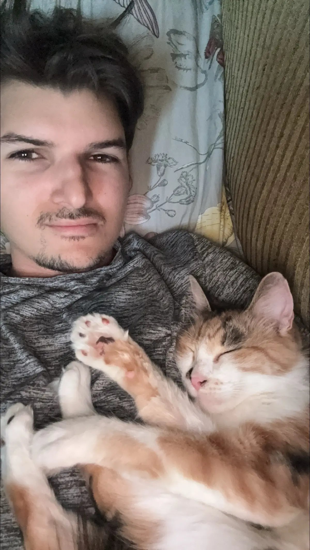 #catsoftiktok 