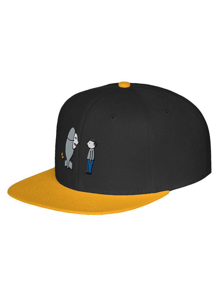 TTGB Snapback Cap product image (2)