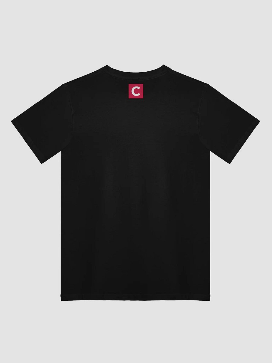 "Protect Democracy" Black Unisex Tee product image (2)