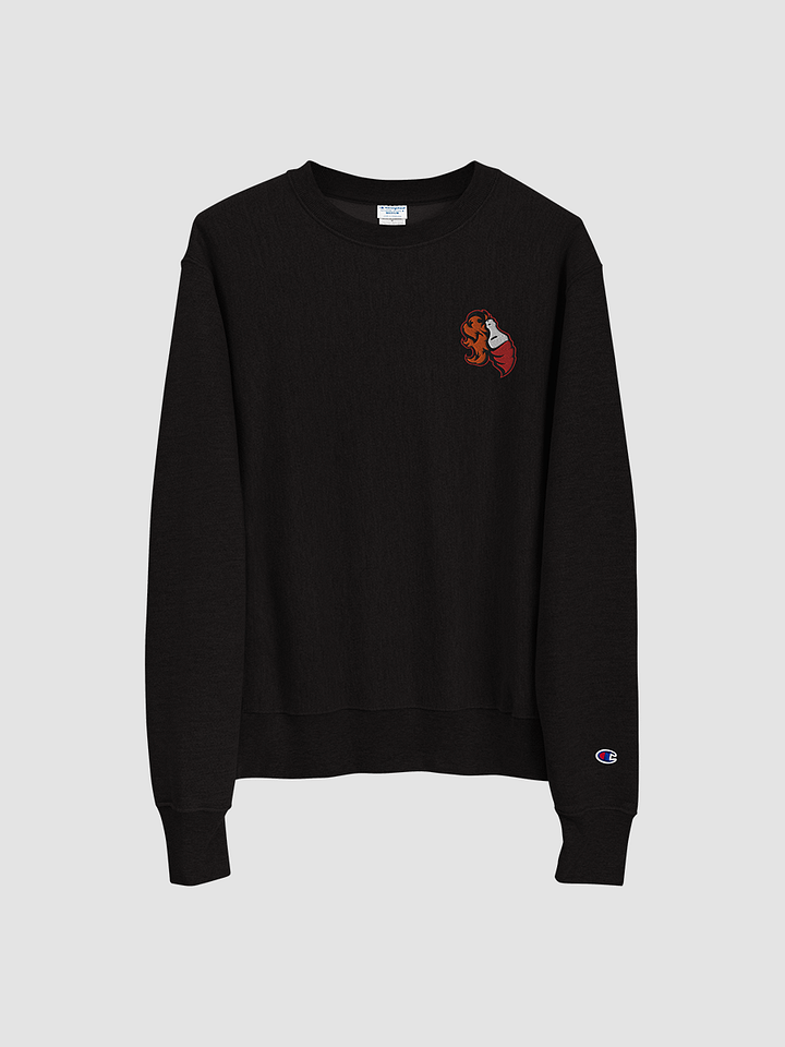 Foundations Molotov Embroidered Champion Sweatshirt product image (2)